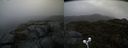 ./images/calvert/buxton2/20210526/buxton220210526_162502M.jpg