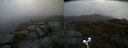 ./images/calvert/buxton2/20210526/buxton220210526_171003M.jpg