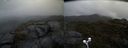./images/calvert/buxton2/20210526/buxton220210526_182002M.jpg