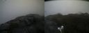 ./images/calvert/buxton2/20210527/buxton220210527_094003M.jpg