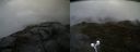 ./images/calvert/buxton2/20210527/buxton220210527_102503M.jpg