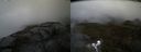./images/calvert/buxton2/20210527/buxton220210527_105003M.jpg