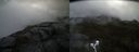 ./images/calvert/buxton2/20210527/buxton220210527_110503M.jpg