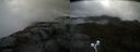 ./images/calvert/buxton2/20210527/buxton220210527_111003M.jpg