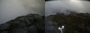 ./images/calvert/buxton2/20210527/buxton220210527_113502M.jpg