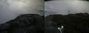 ./images/calvert/buxton2/20210527/buxton220210527_115003M.jpg