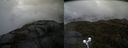 ./images/calvert/buxton2/20210527/buxton220210527_115502M.jpg