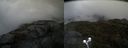 ./images/calvert/buxton2/20210527/buxton220210527_121002M.jpg