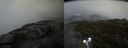./images/calvert/buxton2/20210527/buxton220210527_121502M.jpg