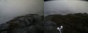 ./images/calvert/buxton2/20210527/buxton220210527_122003M.jpg