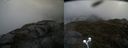 ./images/calvert/buxton2/20210527/buxton220210527_123502M.jpg