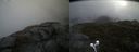 ./images/calvert/buxton2/20210527/buxton220210527_124003M.jpg