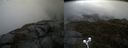 ./images/calvert/buxton2/20210527/buxton220210527_124503M.jpg