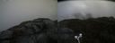 ./images/calvert/buxton2/20210527/buxton220210527_125503M.jpg