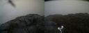 ./images/calvert/buxton2/20210527/buxton220210527_132003M.jpg