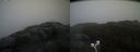 ./images/calvert/buxton2/20210527/buxton220210527_132503M.jpg