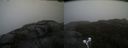 ./images/calvert/buxton2/20210527/buxton220210527_142502M.jpg