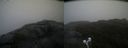 ./images/calvert/buxton2/20210527/buxton220210527_144502M.jpg