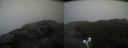 ./images/calvert/buxton2/20210527/buxton220210527_145003M.jpg