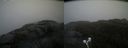 ./images/calvert/buxton2/20210527/buxton220210527_145503M.jpg