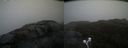 ./images/calvert/buxton2/20210527/buxton220210527_154003M.jpg