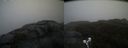 ./images/calvert/buxton2/20210527/buxton220210527_154503M.jpg