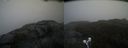 ./images/calvert/buxton2/20210527/buxton220210527_155502M.jpg