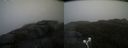 ./images/calvert/buxton2/20210527/buxton220210527_162002M.jpg