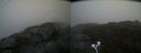./images/calvert/buxton2/20210527/buxton220210527_162502M.jpg