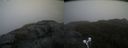 ./images/calvert/buxton2/20210527/buxton220210527_165503M.jpg