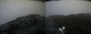 ./images/calvert/buxton2/20210527/buxton220210527_204502M.jpg