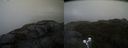 ./images/calvert/buxton2/20210528/buxton220210528_100502M.jpg