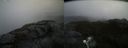 ./images/calvert/buxton2/20210528/buxton220210528_112502M.jpg