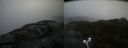 ./images/calvert/buxton2/20210528/buxton220210528_122002M.jpg