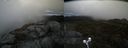 ./images/calvert/buxton2/20210528/buxton220210528_130503M.jpg
