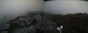 ./images/calvert/buxton2/20210528/buxton220210528_131503M.jpg