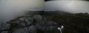 ./images/calvert/buxton2/20210528/buxton220210528_132503M.jpg