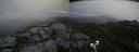 ./images/calvert/buxton2/20210528/buxton220210528_145503M.jpg