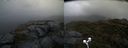 ./images/calvert/buxton2/20210530/buxton220210530_070503M.jpg