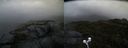 ./images/calvert/buxton2/20210530/buxton220210530_073503M.jpg