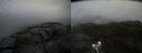 ./images/calvert/buxton2/20210530/buxton220210530_111502M.jpg