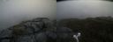 ./images/calvert/buxton2/20210530/buxton220210530_115503M.jpg