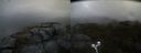 ./images/calvert/buxton2/20210530/buxton220210530_120502M.jpg