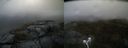./images/calvert/buxton2/20210530/buxton220210530_125503M.jpg