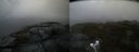 ./images/calvert/buxton2/20210530/buxton220210530_130503M.jpg