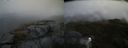 ./images/calvert/buxton2/20210530/buxton220210530_141003M.jpg