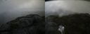 ./images/calvert/buxton2/20210602/buxton220210602_101503M.jpg