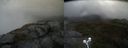 ./images/calvert/buxton2/20210602/buxton220210602_103503M.jpg