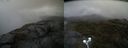 ./images/calvert/buxton2/20210602/buxton220210602_104003M.jpg