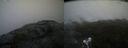 ./images/calvert/buxton2/20210602/buxton220210602_111002M.jpg